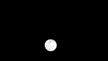 Moon Timelapse, Stock time lapse Full moon rise in dark nature sky, night time. Full moon disk time lapse with moon light up in night dark black sky. High-quality free video footage or timelapse