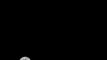 maan timelapse, stock time-lapse volle maan opkomst in de donkere natuur hemel, nachttijd. volle maan schijf time-lapse met maan oplichten in de nacht donkere zwarte lucht. gratis videobeelden of timelapse van hoge kwaliteit video
