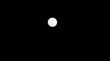 timelapse di luna, lasso di tempo stock luna piena sorge nel cielo di natura oscura, notte. lasso di tempo del disco di luna piena con la luna che si illumina nel cielo nero scuro di notte. riprese video o timelapse gratuiti di alta qualità