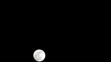 timelapse di luna, lasso di tempo stock luna piena sorge nel cielo di natura oscura, notte. lasso di tempo del disco di luna piena con la luna che si illumina nel cielo nero scuro di notte. riprese video o timelapse gratuiti di alta qualità