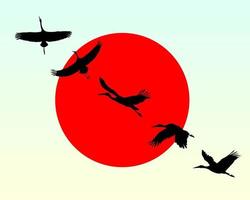 Silhouettes of flying cranes against the red sun vector