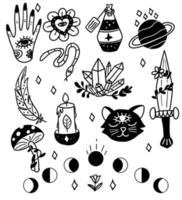 Witchcraft set. Cat, dagger, hand,planet, crescent, crystal, snake, potion. vector