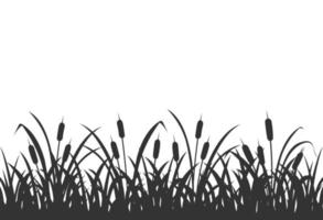 Dark silhouette of marsh grass with reeds. Background with marsh vegetation on white. vector