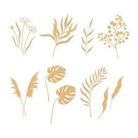 Set of different boho style plants. Leaves and branches in pastel brown color vector