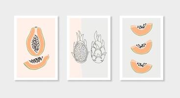 Papaya and dragon fruit wall art set. Minimalist elements for poster, postcard, wallpaper, cover. Natural colors vector