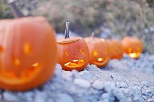 Halloween pumpkin lanterns with candles photo