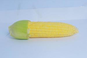 mazorca de maíz cruda madura con cáscara aislada en blanco. enfoque selectivo. de centrado foto