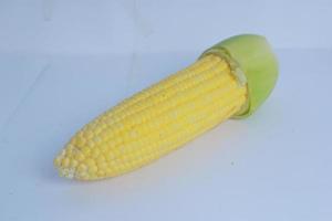 Ripe raw corn cob with husk isolated on white. Selective Focus. De Focused photo