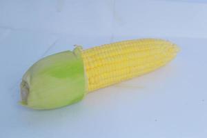Ripe raw corn cob with husk isolated on white. Selective Focus. De Focused photo