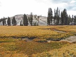 paisaje natural del parque yosemity en los estados unidos, reportaje de viaje foto