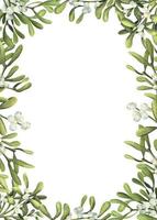 Watercolor frame of Christmas plants . Hand painted floral border with white mistletoe branches isolated on white background. vector