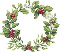 Watercolor wreath of holly and mistletoe branches. Hand painted floral circle border isolated on white background. vector