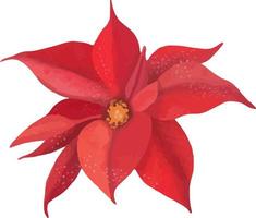 Watercolor Christmas plant. Hand drawn red poinsettia botanical elements isolated on white background.