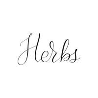 hierbas inspiradoras con letras de pincel escritas a mano. ilustración de caligrafía vectorial aislada sobre fondo blanco. tipografía para pancartas, insignias, postales, camisetas, impresiones, carteles. vector