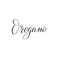 Inspirational handwritten brush lettering oregano. Vector calligraphy illustration isolated on white background. Typography for banners, badges, postcard, tshirt, prints, posters.