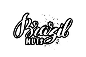 pincel inspirador escrito a mano con letras de nueces de Brasil. ilustración de caligrafía vectorial aislada sobre fondo blanco. tipografía para pancartas, insignias, postales, camisetas, impresiones, carteles. vector