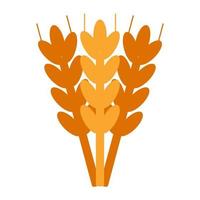 Wheat Flat Multicolor Icon vector