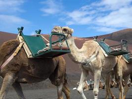 Vulcano Island Lanzarote in Spain photo