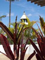 tenerife island in spain photo