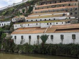 Porto at the douro river photo