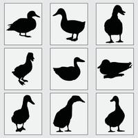 Prediseñadas de vector de pato negro