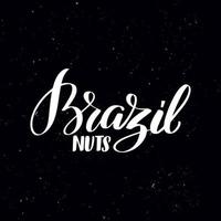 Chalkboard blackboard lettering brazil nuts. Handwritten calligraphy text, chalk on a blackboard, vector illustration. Greetings for logotype, badge, icon.