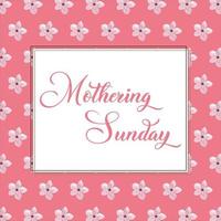 Mothering Sunday banner with cherry blossoms. Pink flowers over blue painted stripes on white. Mothering Sunday greeting card template, rectangular frame border with calligraphic text vector