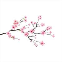 rama árbol vector ilustración verano clipart otoño clipart naturaleza bosque, flor de cerezo de fondo flor de primavera japón, rama de sakura floreciente con flores, flor de cerezo