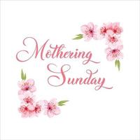 Mothering Sunday banner with cherry blossoms. Pink flowers over blue painted stripes on white. Mothering Sunday greeting card template, rectangular frame border with calligraphic text vector