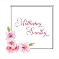 Mothering Sunday banner with cherry blossoms. Pink flowers over blue painted stripes on white. Mothering Sunday greeting card template, rectangular frame border with calligraphic text vector