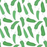 Sage seamless pattern. Flat vector illustration isolated on white background. Endless print of organic herbs bunch for design, packaging, fabrics.