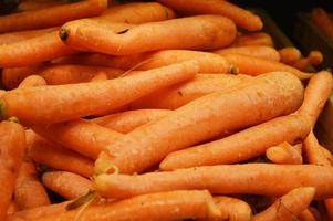 naranja zanahoria. verduras frescas, comida sana, dieta, vitaminas. cosecha. foto