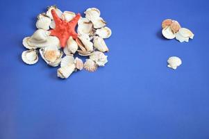 Sea white shells and a red star on a blue background, top view. Summer composition. Free space for text. photo