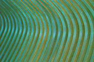 Wooden curved green slats. Abstract creative background. Glare of the sun on the surface. Building facade element. photo