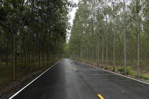 Beautiful asphalt road, wet with rain, goes straight ahead. There is a white traffic line. and yellow dotted lines Trees on both sides of the road to the end of the road curve in front. photo