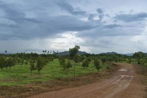Curved paths of flooded gravel soil road. Surrounded by green grass and garden. And mountain forests in the background under a cloudy sky. photo