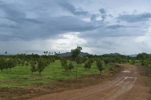 caminos curvos de camino de tierra de grava inundada. Rodeado de césped verde y jardín. y bosques de montaña en el fondo bajo un cielo nublado. foto