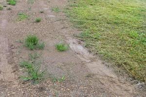 The road was soiled with water. Drifting past car tires. Green grass that grew up on the side of the road. photo