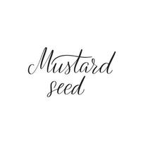 Inspirational handwritten brush lettering mustard seed. Vector calligraphy illustration isolated on white background. Typography for banners, badges, postcard, tshirt, prints, posters.