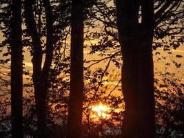 sundown at the beach ofZingst photo