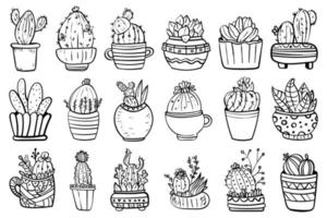 Set of elements with hand drawn cacti and succulents vector