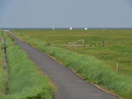 Hallig Hooge in the german north sea photo