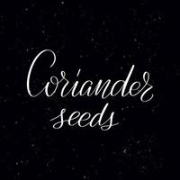 Chalkboard blackboard lettering Coriander seeds. Handwritten calligraphy text, chalk on a blackboard, vector illustration. Greetings for logotype, badge, icon.