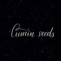 Chalkboard blackboard lettering Cumin seeds. Handwritten calligraphy text, chalk on a blackboard, vector illustration. Greetings for logotype, badge, icon.