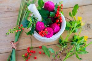 Fresh herbs in the mortar, alternative medicine photo