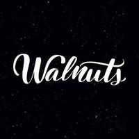 Chalkboard blackboard lettering Walnuts. Handwritten calligraphy text, chalk on a blackboard, vector illustration. Greetings for logotype, badge, icon.