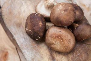 setas shiitake sobre fondo de madera foto