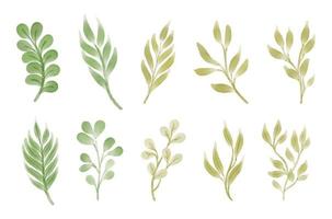 Watercolor leaves collection vector illustration