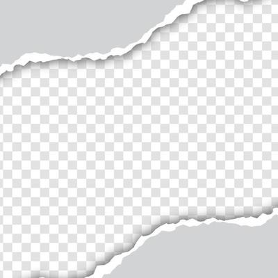 Torn paper edge vector illustration. Teared, ripped photo, sheet or page texture.