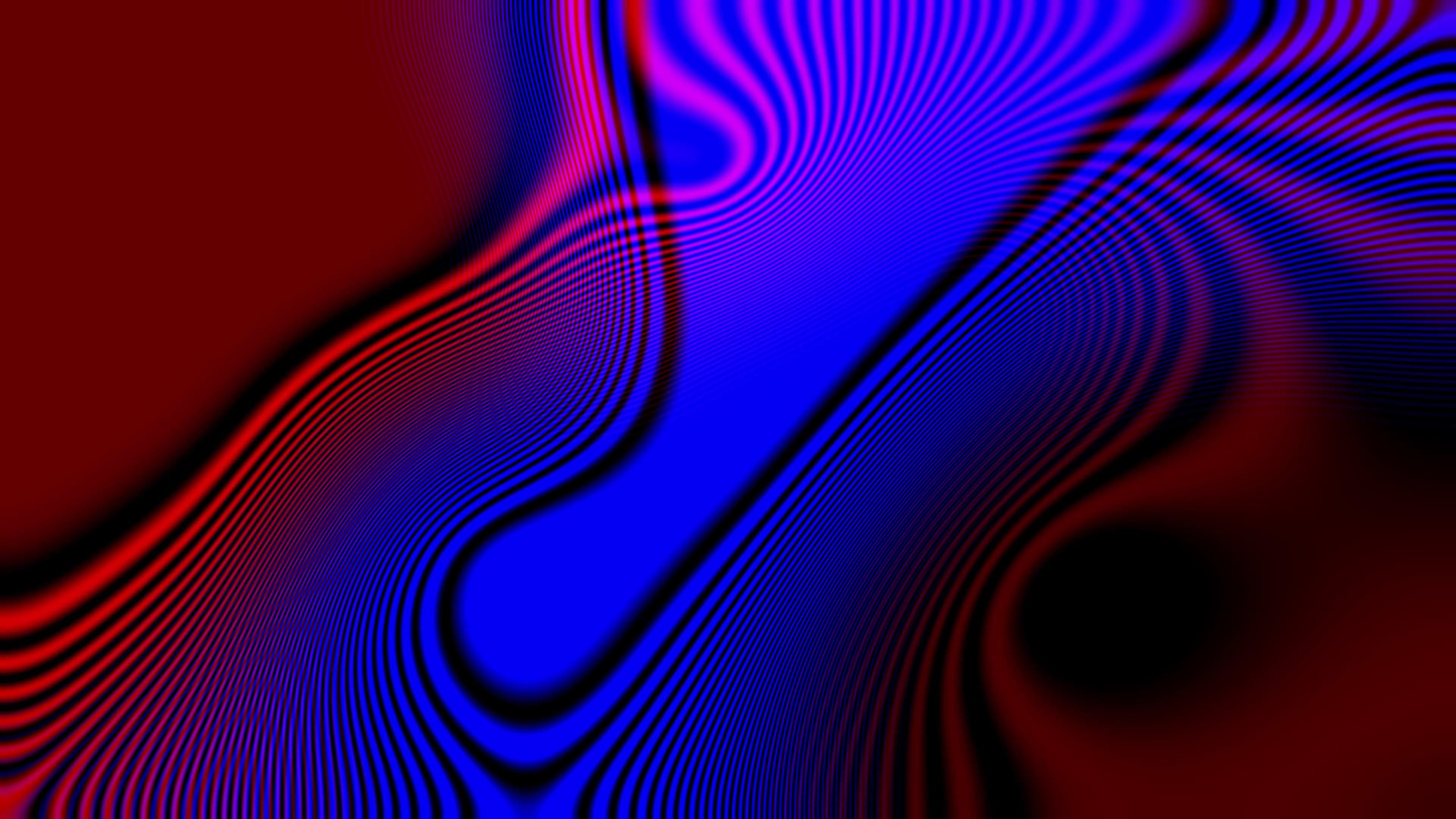Zebra line technology gradient contour color of red and blue. 7736157